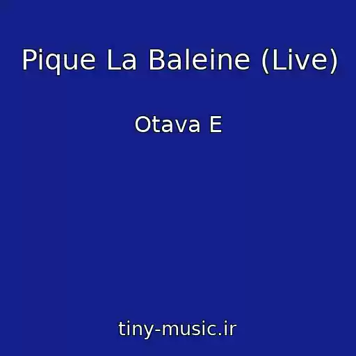 کاور آهنگ Pique La Baleine (Live) از Otava E