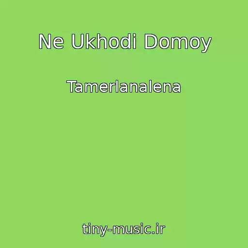 کاور آهنگ Ne Ukhodi Domoy از Tamerlanalena