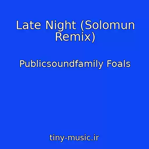 کاور آهنگ Late Night (Solomun Remix) از Publicsoundfamily Foals