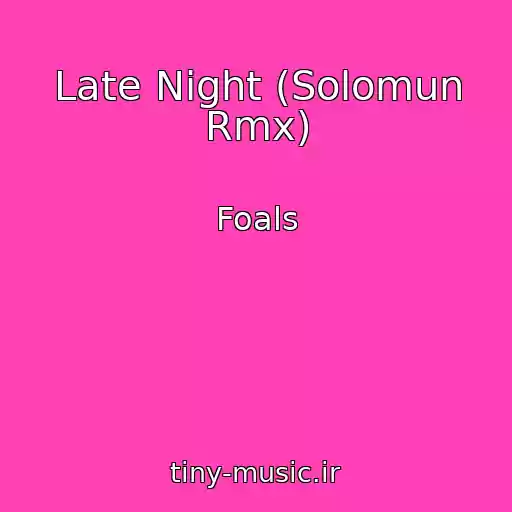 کاور آهنگ Late Night (Solomun Rmx) از Foals