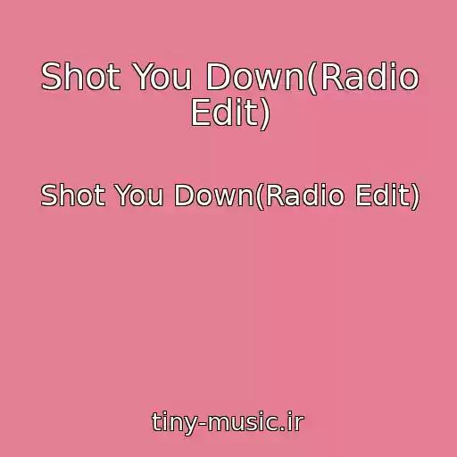 کاور آهنگ Shot You Down(Radio Edit) از Shot You Down(Radio Edit)