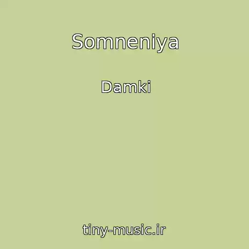 کاور آهنگ Somneniya از Damki