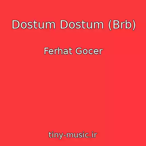 کاور آهنگ Dostum Dostum (Brb) از Ferhat Gocer