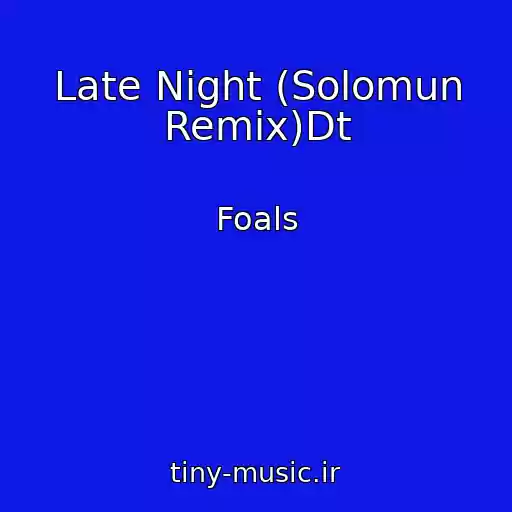 کاور آهنگ Late Night (Solomun Remix)Dt از Foals