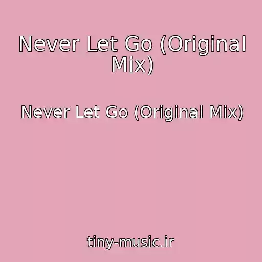 کاور آهنگ Never Let Go (Original Mix) از Never Let Go (Original Mix)