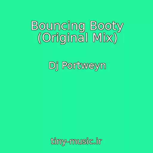 کاور آهنگ Bouncing Booty (Original Mix) از Dj Portweyn
