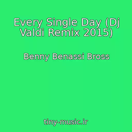 کاور آهنگ Every Single Day (Dj Valdi Remix 2015) از Benny Benassi Bross