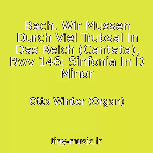 کاور آهنگ Bach. Wir Mussen Durch Viel Trubsal In Das Reich (Cantata), Bwv 146: Sinfonia In D Minor از Otto Winter (Organ)