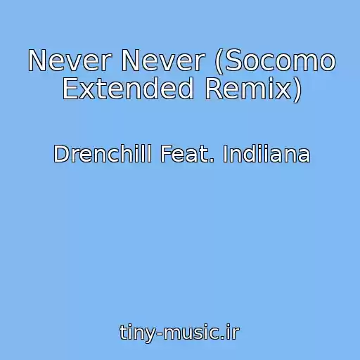 کاور آهنگ Never Never (Socomo Extended Remix) از Drenchill Feat. Indiiana
