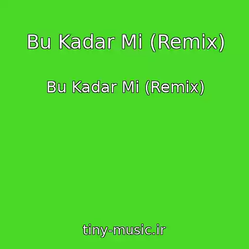 کاور آهنگ Bu Kadar Mi (Remix) از Bu Kadar Mi (Remix)