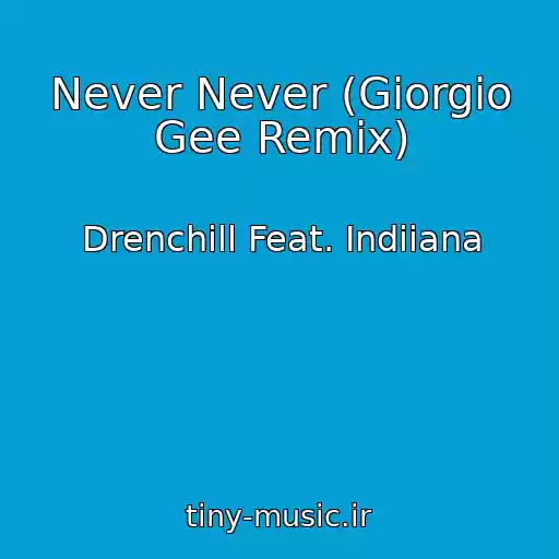 کاور آهنگ Never Never (Giorgio Gee Remix) از Drenchill Feat. Indiiana