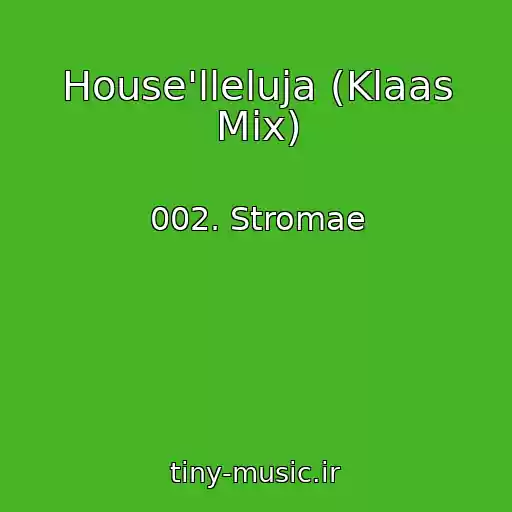 کاور آهنگ House'lleluja (Klaas Mix) از 002. Stromae
