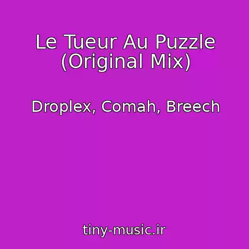 کاور آهنگ Le Tueur Au Puzzle (Original Mix) از Droplex, Comah, Breech