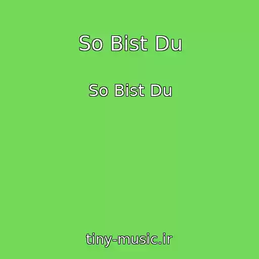 کاور آهنگ So Bist Du از So Bist Du