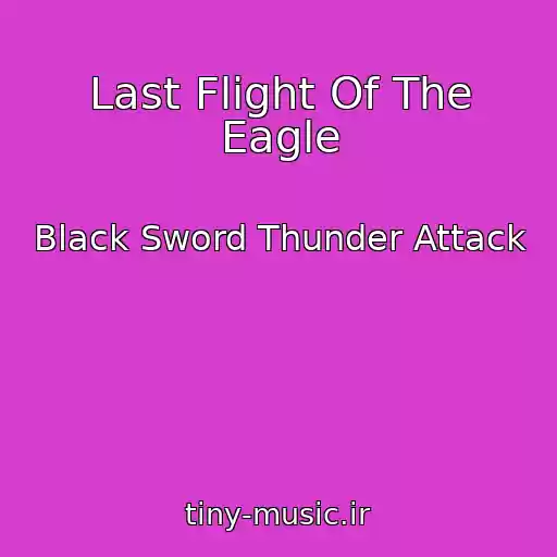 کاور آهنگ Last Flight Of The Eagle از Black Sword Thunder Attack