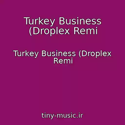 کاور آهنگ Turkey Business (Droplex Remi از Turkey Business (Droplex Remi