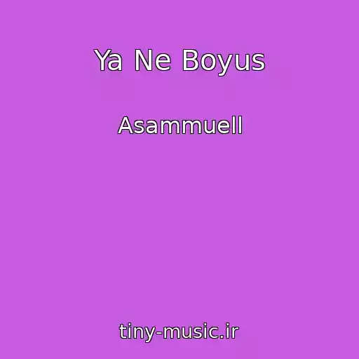 کاور آهنگ Ya Ne Boyus از Asammuell