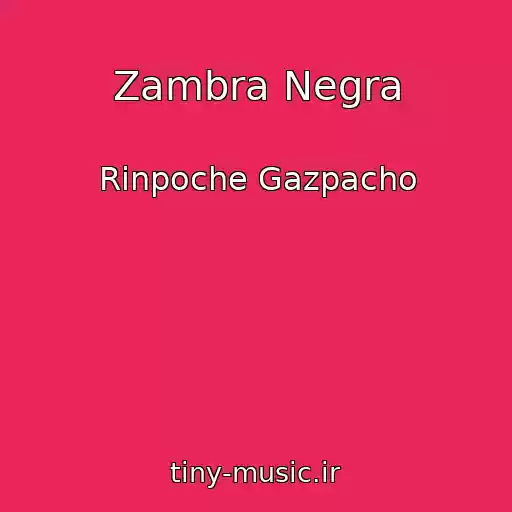 کاور آهنگ Zambra Negra از Rinpoche Gazpacho