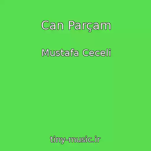 کاور آهنگ Can Parçam از Mustafa Ceceli