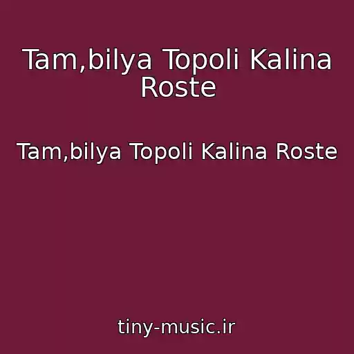 کاور آهنگ Tam,bіlya Topolі Kalina Roste از Tam,bіlya Topolі Kalina Roste