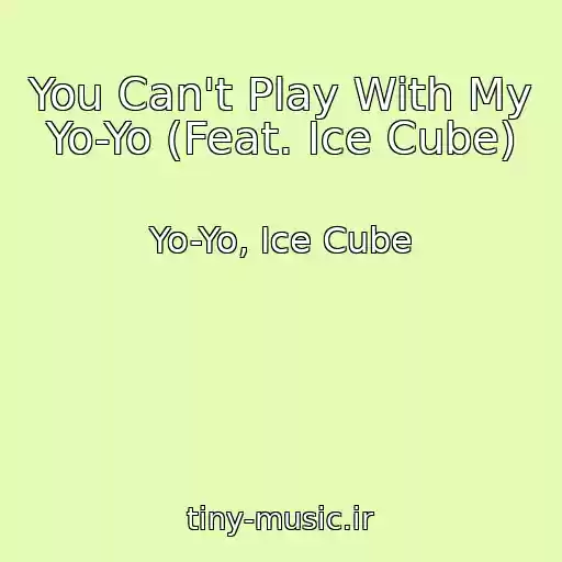 کاور آهنگ You Can't Play With My Yo-Yo (Feat. Ice Cube) از Yo-Yo, Ice Cube
