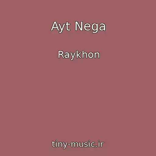 کاور آهنگ Ayt Nega از Raykhon