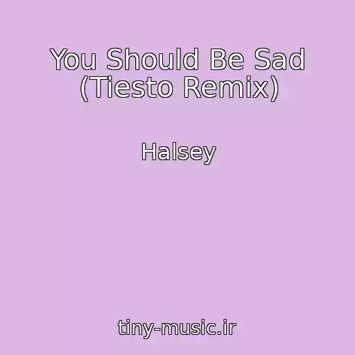 کاور آهنگ You Should Be Sad (Tiesto Remix) از Halsey