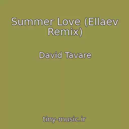 کاور آهنگ Summer Love (Ellaev Remix) از David Tavare
