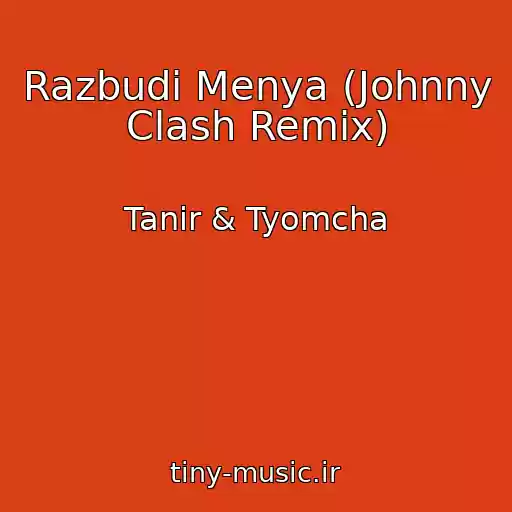 کاور آهنگ Razbudi Menya (Johnny Clash Remix) از Tanir & Tyomcha