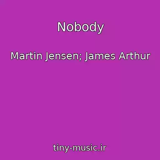 کاور آهنگ Nobody از Martin Jensen; James Arthur