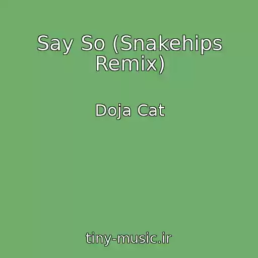 کاور آهنگ Say So (Snakehips Remix) از Doja Cat