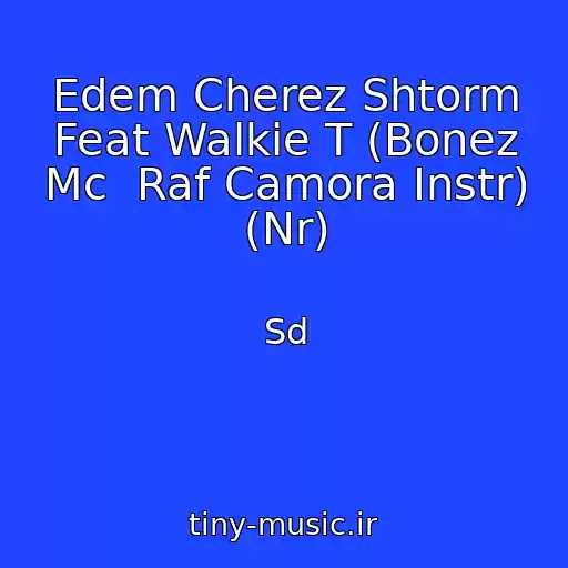 کاور آهنگ Edem Cherez Shtorm Feat Walkie T (Bonez Mc  Raf Camora Instr) (Nr) از Sd