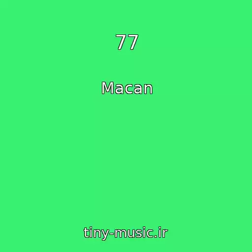 کاور آهنگ 77 از Macan