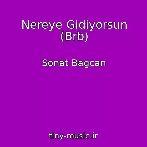 کاور آهنگ Nereye Gidiyorsun (Brb) از Sonat Bagcan
