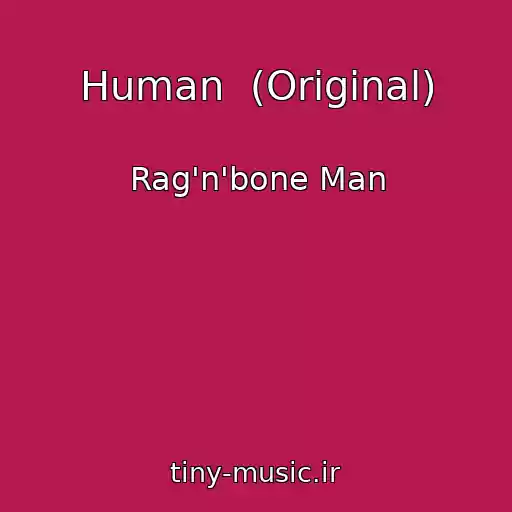 کاور آهنگ Human  (Original) از Rag'n'bone Man
