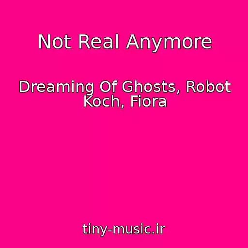 کاور آهنگ Not Real Anymore از Dreaming Of Ghosts, Robot Koch, Fiora