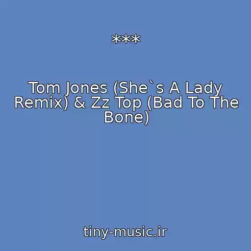 کاور آهنگ *** از Tom Jones (She`s A Lady Remix) & Zz Top (Bad To The Bone)