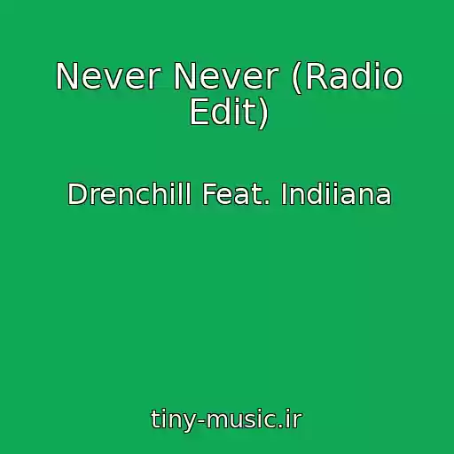 کاور آهنگ Never Never (Radio Edit) از Drenchill Feat. Indiiana