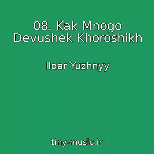 کاور آهنگ 08. Kak Mnogo Devushek Khoroshikh از Ildar Yuzhnyy