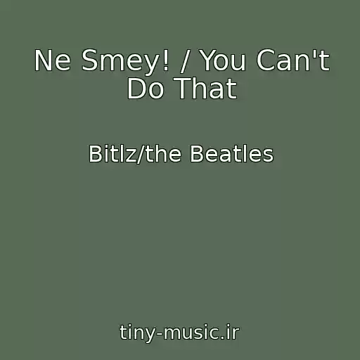 کاور آهنگ Ne Smey! / You Can't Do That از Bitlz/the Beatles