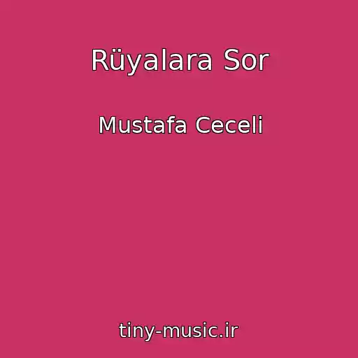 کاور آهنگ Rüyalara Sor از Mustafa Ceceli