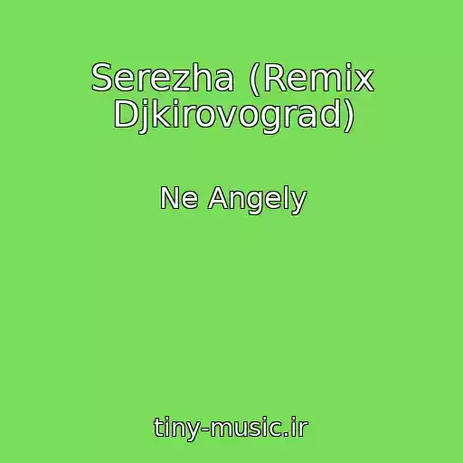 کاور آهنگ Serezha (Remix Djkirovograd) از Ne Angely