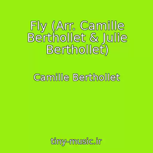 کاور آهنگ Fly (Arr. Camille Berthollet & Julie Berthollet) از Camille Berthollet