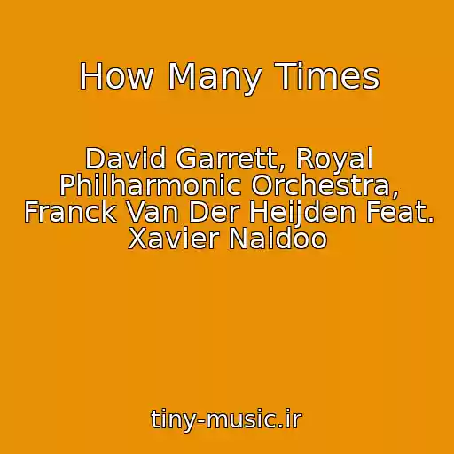 کاور آهنگ How Many Times از David Garrett, Royal Philharmonic Orchestra, Franck Van Der Heijden Feat. Xavier Naidoo
