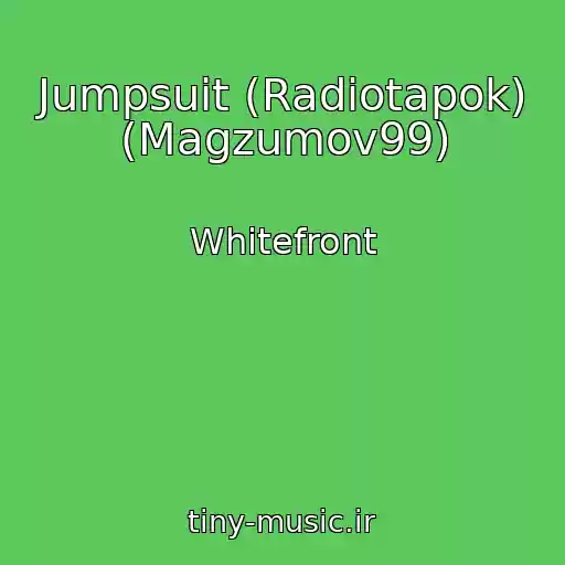 کاور آهنگ Jumpsuit (Radiotapok) (Magzumov99) از Whitefront