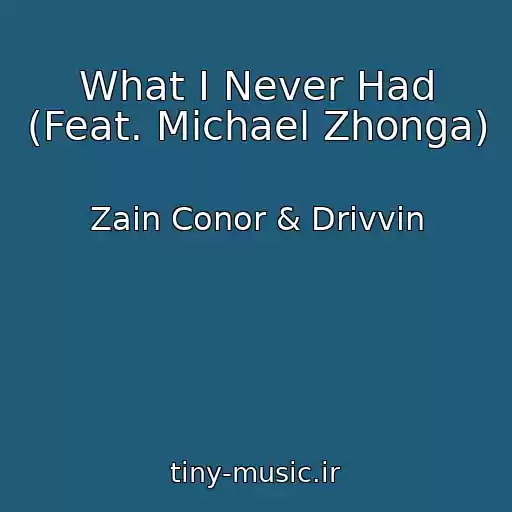 کاور آهنگ What I Never Had (Feat. Michael Zhonga) از Zain Conor & Drivvin