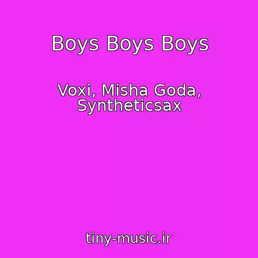 کاور آهنگ Boys Boys Boys از Voxi, Misha Goda, Syntheticsax