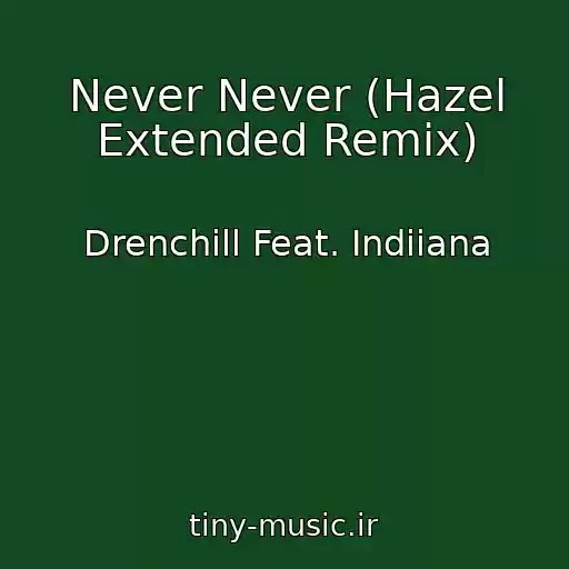 کاور آهنگ Never Never (Hazel Extended Remix) از Drenchill Feat. Indiiana
