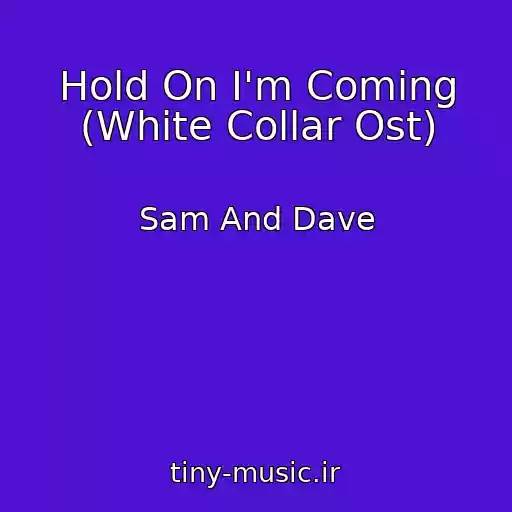 کاور آهنگ Hold On I'm Coming (White Collar Ost) از Sam And Dave