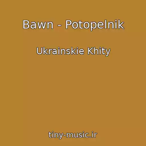کاور آهنگ Bawn - Potopelnik از Ukrainskie Khity
